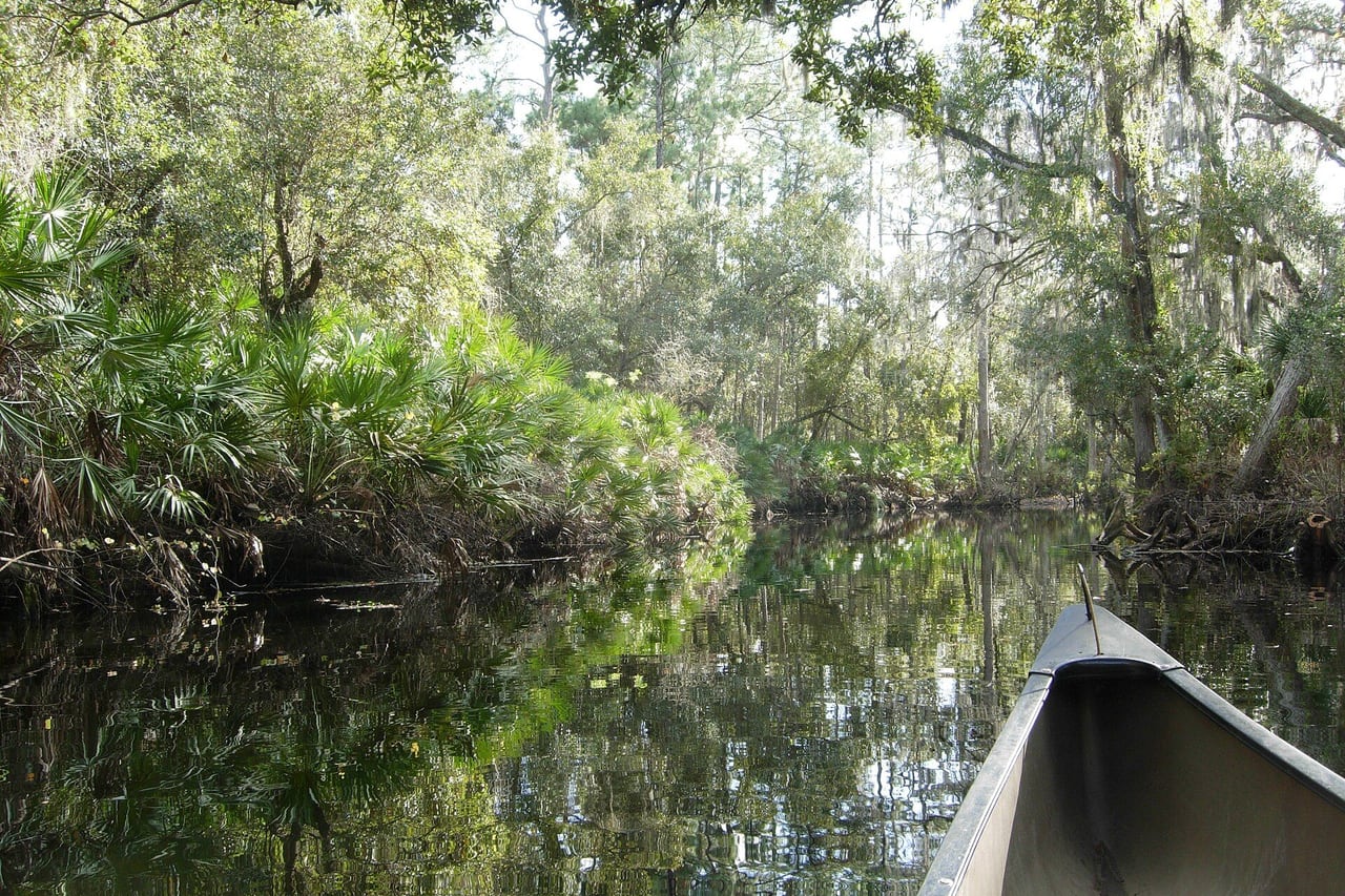 Shingle Creek Regional Park, Kissimmee