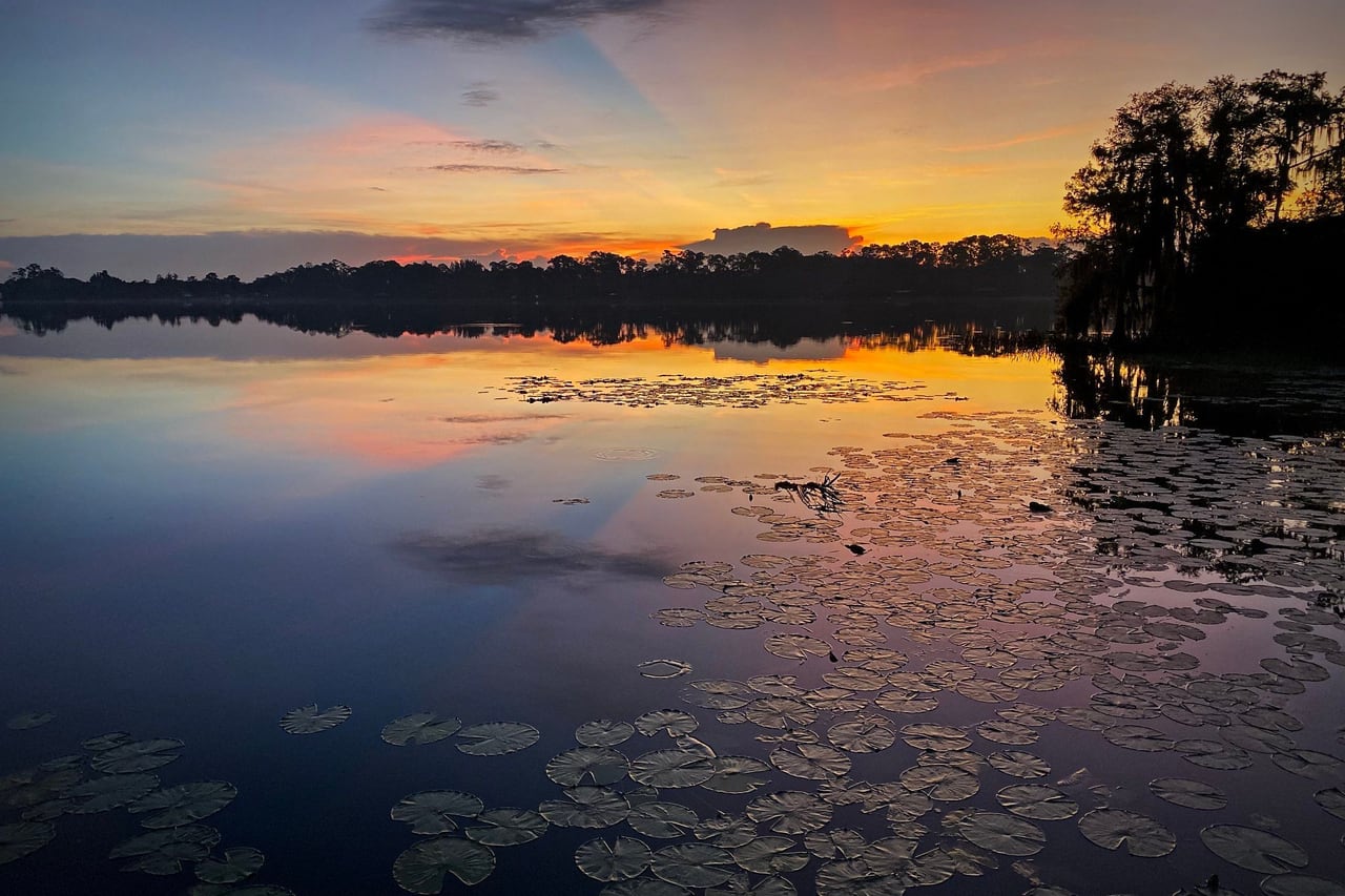 Céu alaranjado e lilás refletido num lago calmo coberto de vitórias-régias, com ciprestes na margem, em Lake Nona