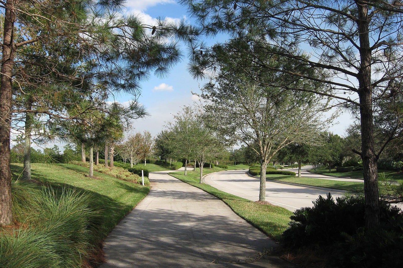 Ciclovia sombreada por pinheiros ao lado de uma rua em Lake Nona
