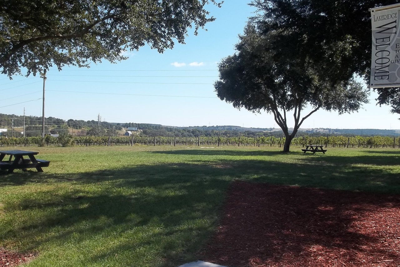 Lakeridge Winery, Minneola