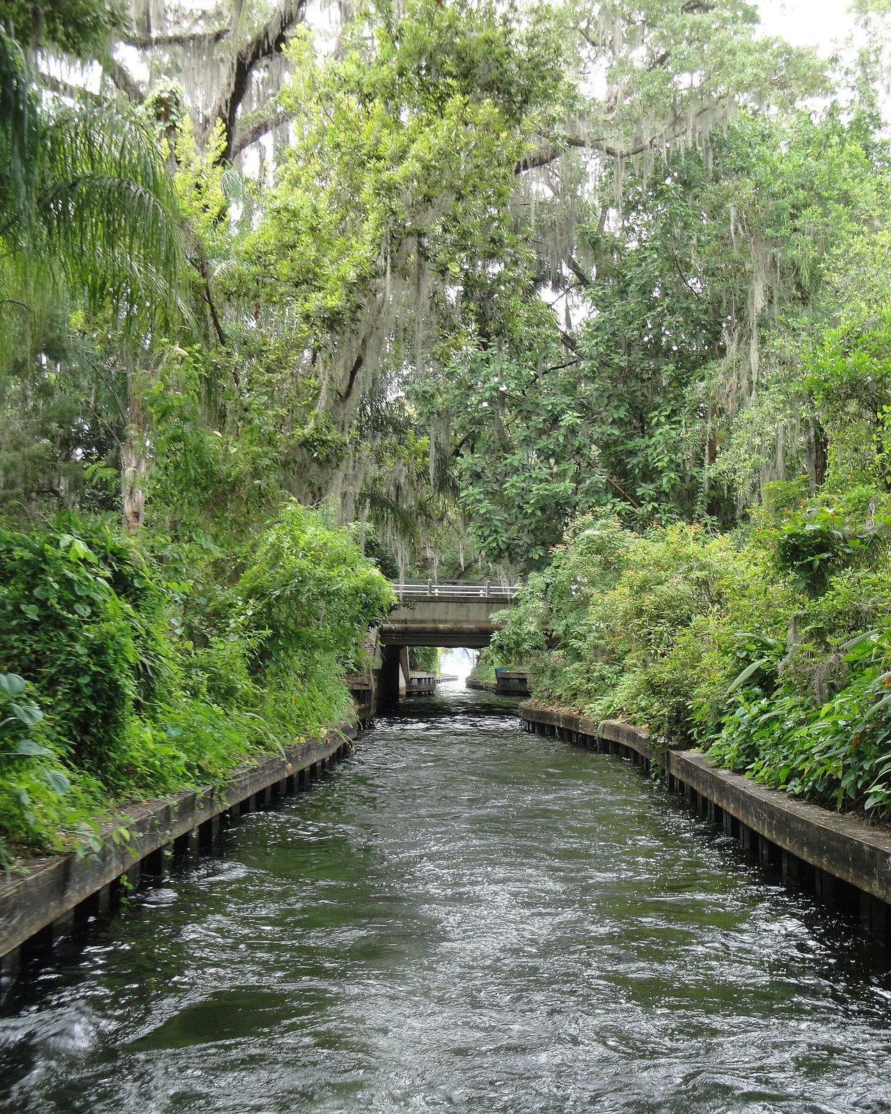 Canal estreito cercado de mata densa em Winter Park, com ponte baixa ao fundo