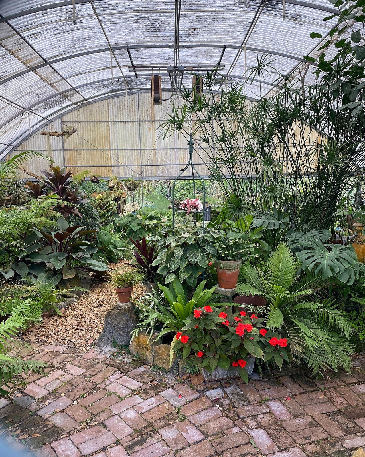 Estufa do Mead Botanical Garden com samambaias e flores vermelhas